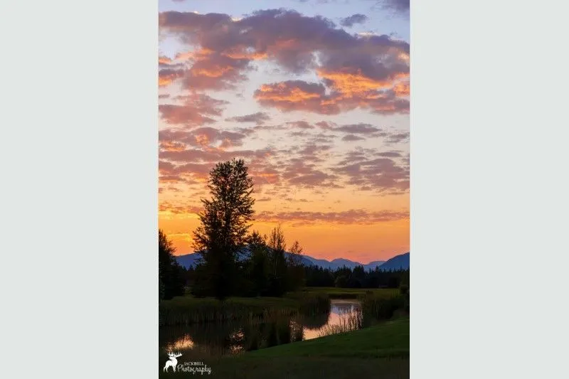 media preview image for blog 'Tackling Montana’s Mental Health Crisis with Telepsychiatry'